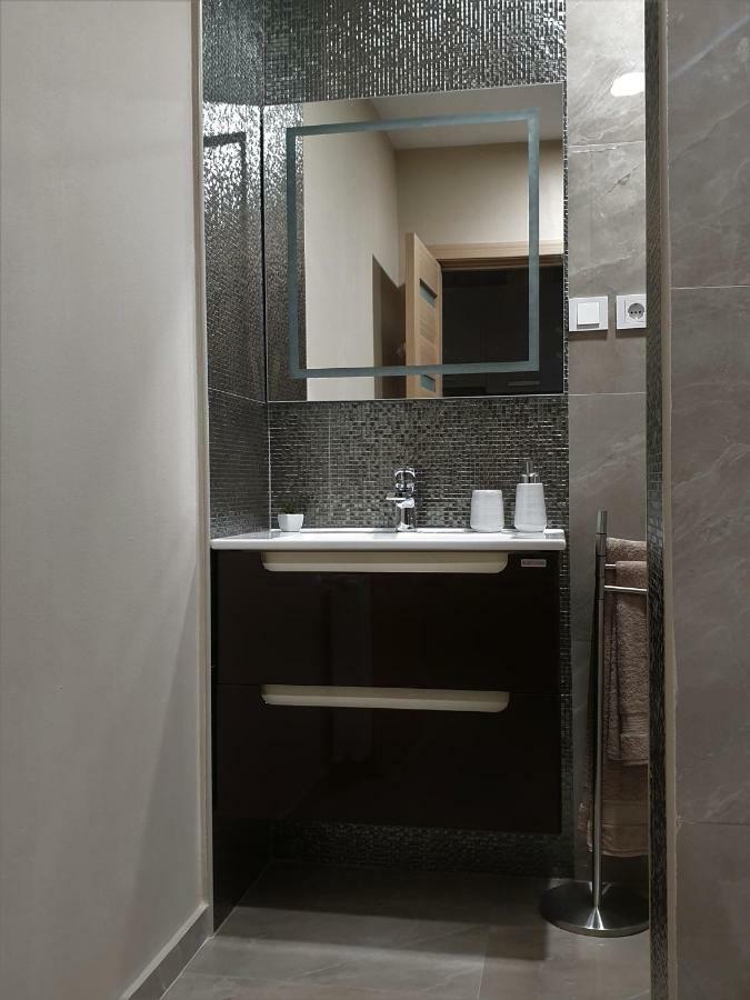 Irina Apartments Timişoara Exteriör bild