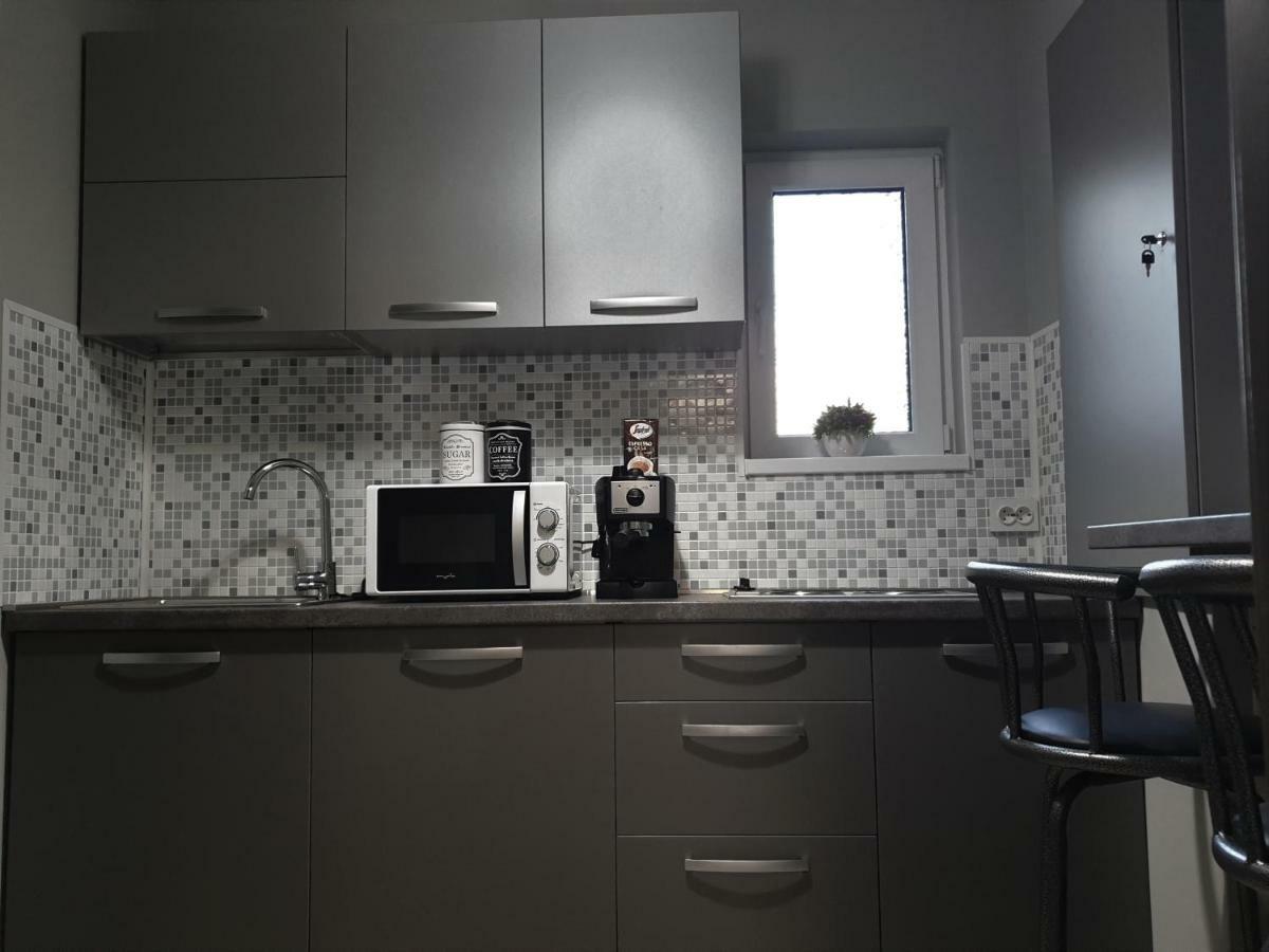 Irina Apartments Timişoara Exteriör bild