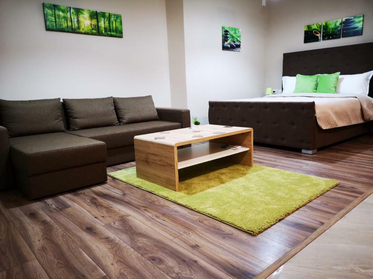 Irina Apartments Timişoara Exteriör bild