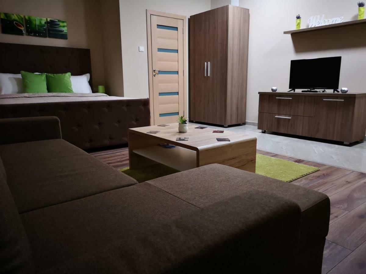Irina Apartments Timişoara Exteriör bild